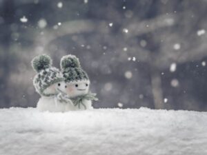 雪の中で微笑む雪だるま