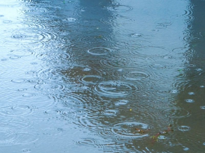 【外壁塗装】雨の日の工事への影響は？知っておきたい中止の基準と安心施工のポイント