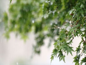 雨の日の高圧洗浄はできる?